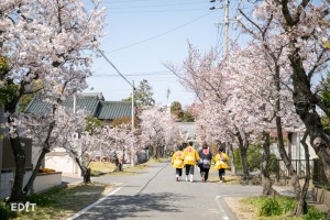 知多半島の各地で 春まつりと桜がセットで楽しめます